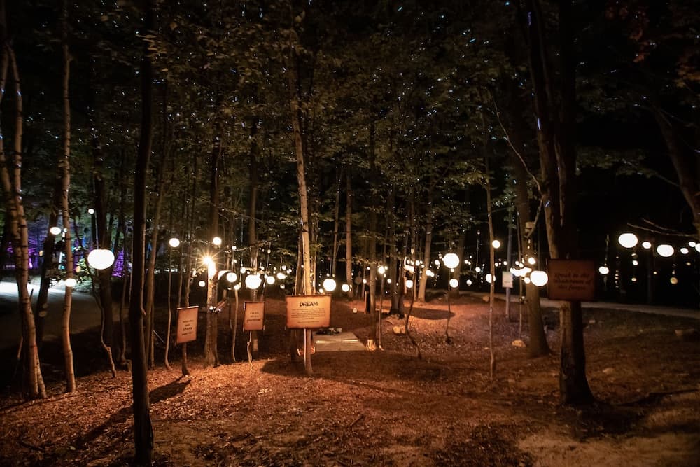 Hiking