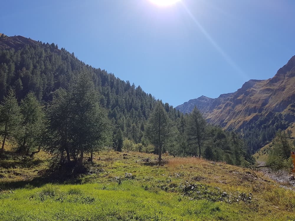 Hiking