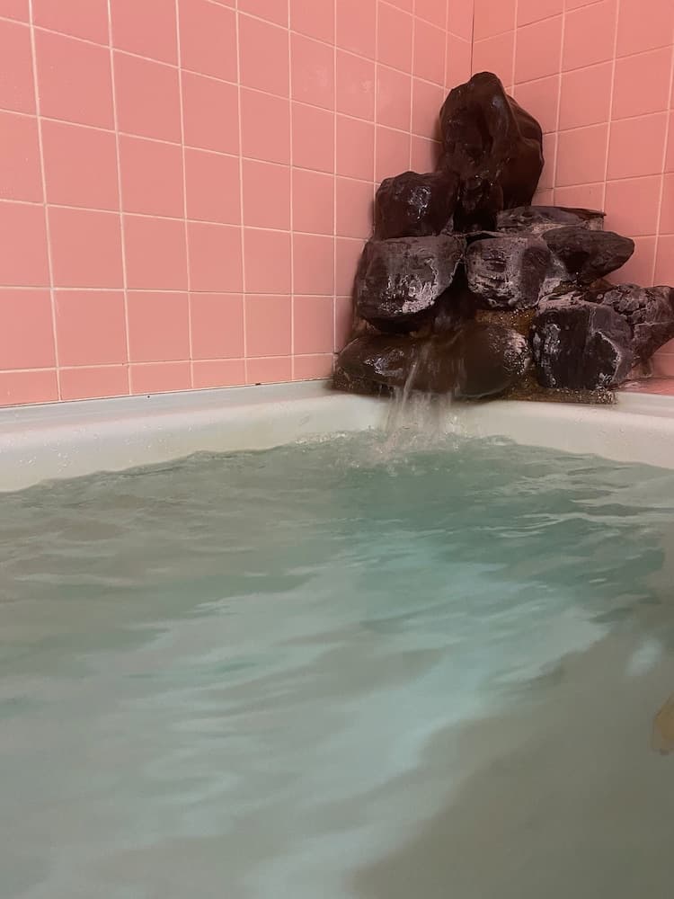Shared bathroom
