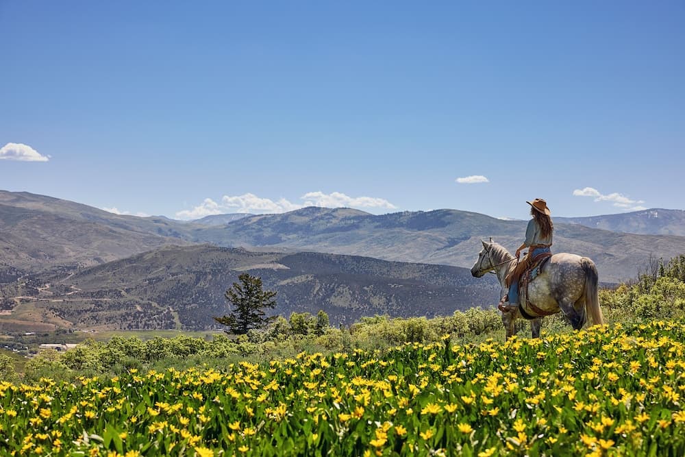 Horseback riding