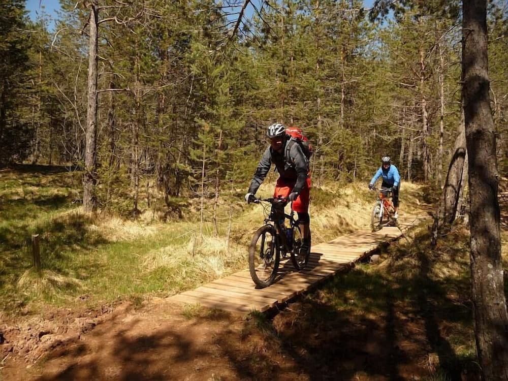 Bicycling
