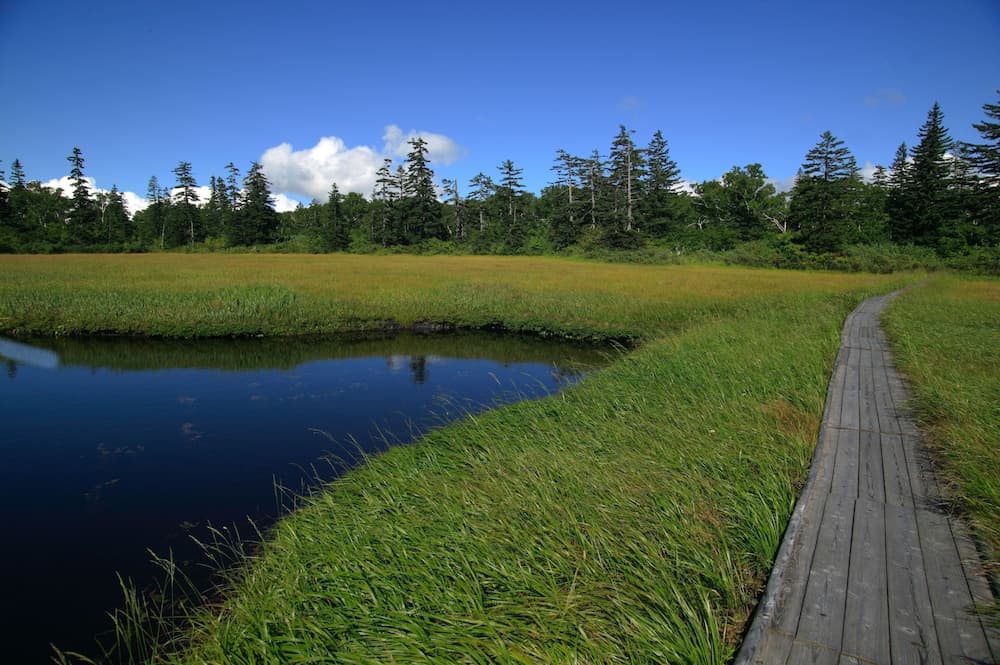 Hiking