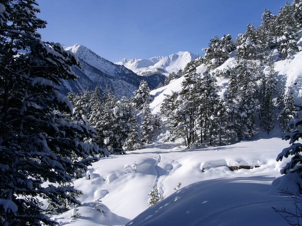Mountain view