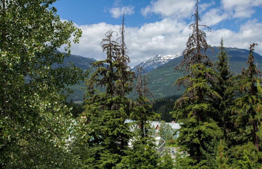 View from property