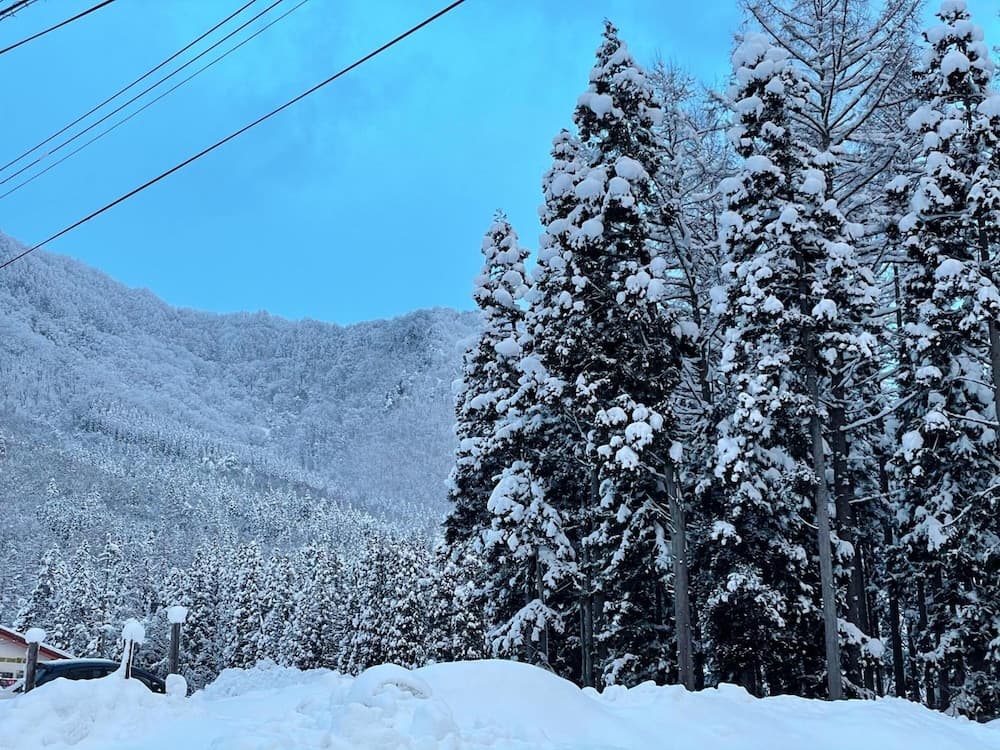 Snow and ski sports
