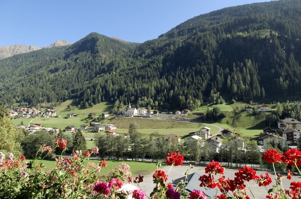 Mountain view