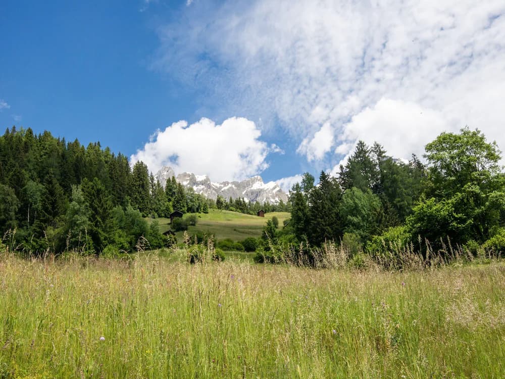 View from property