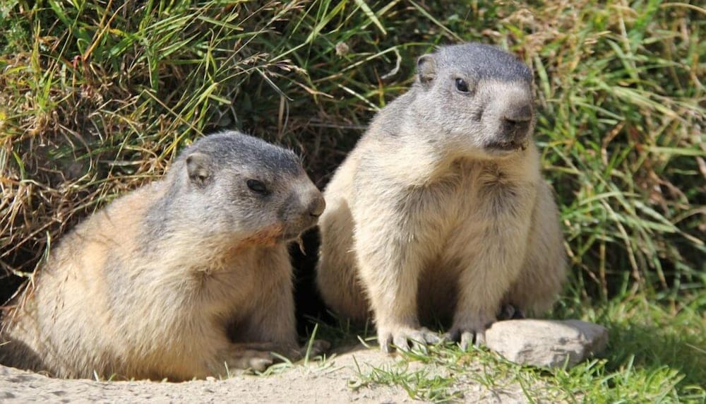 Hiking