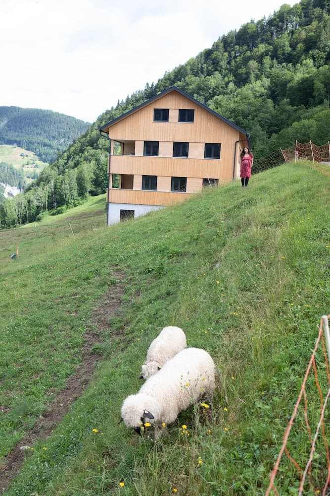 Children's activities