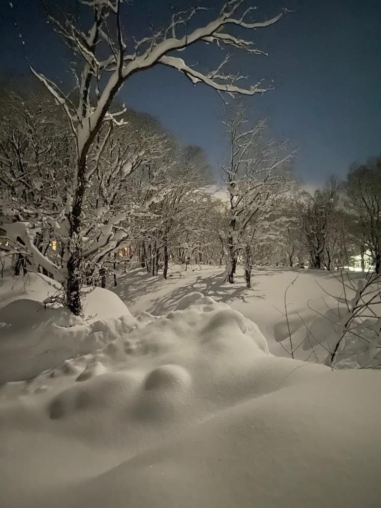 Snow and ski sports