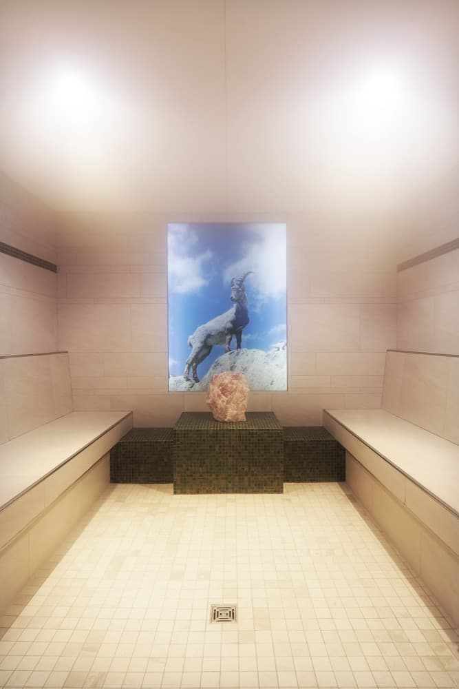 Steam room
