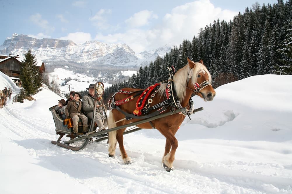 Snow and ski sports