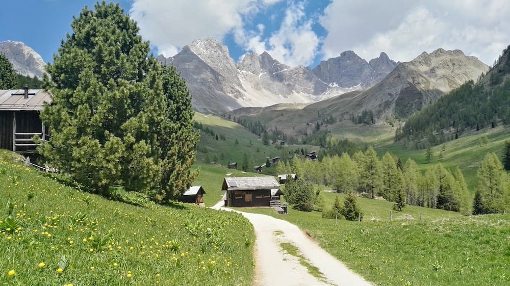 Mountain view