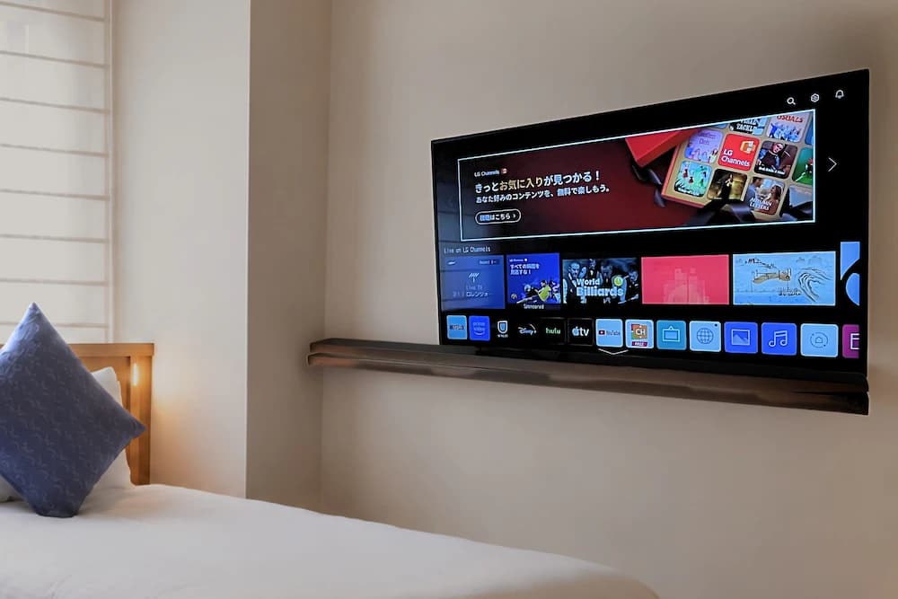 Television