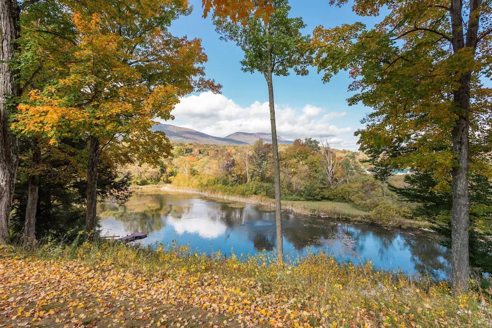 Lake view