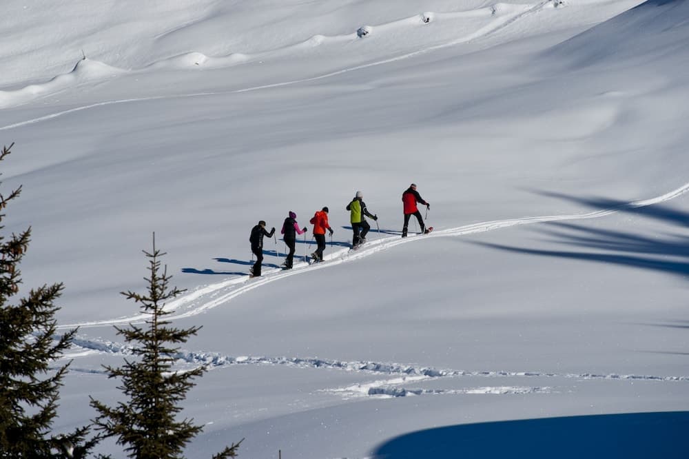 Snowshoeing