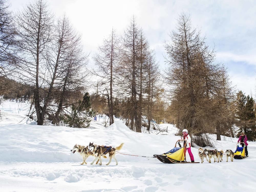 Snow and ski sports