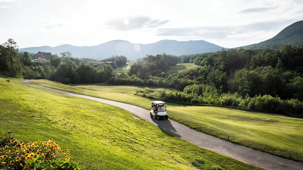 Golf cart