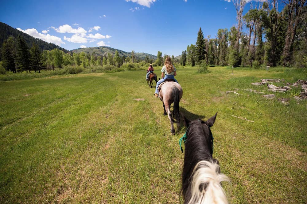 Horseback riding