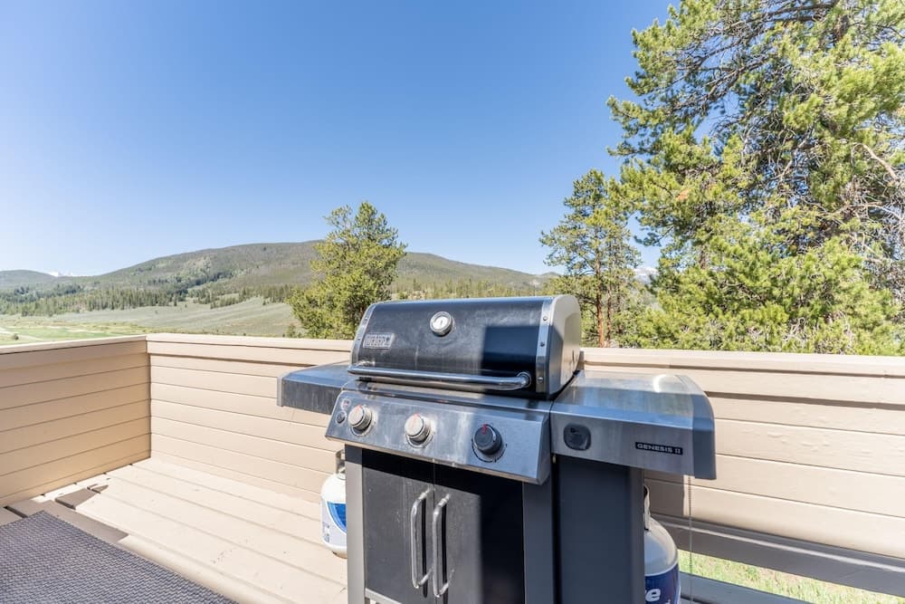 BBQ/picnic area