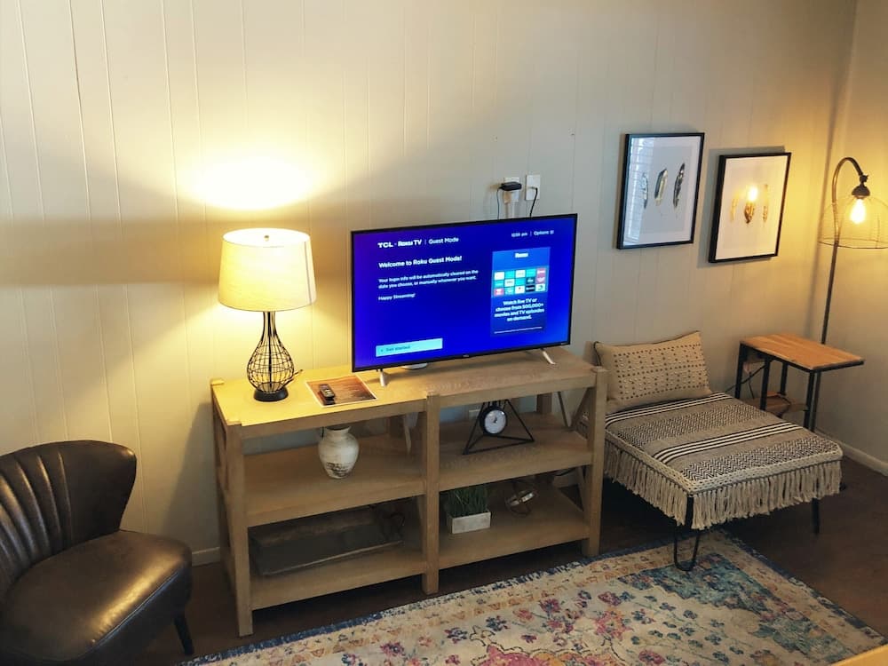 Television
