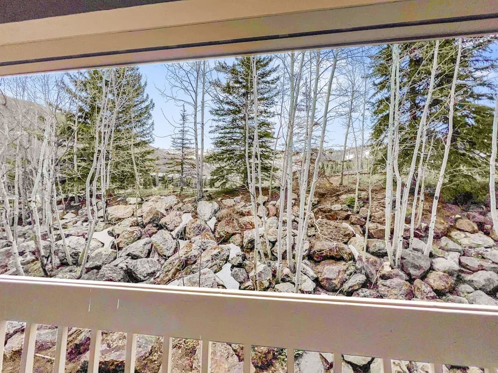View from property
